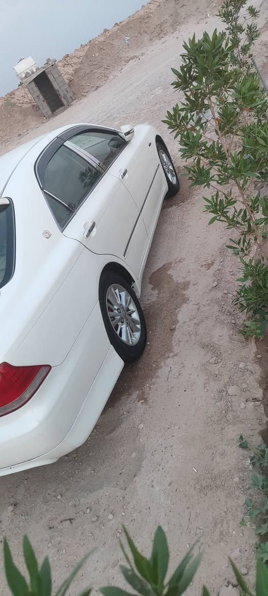شاهينه • كشنات كهربائي • الدوانية