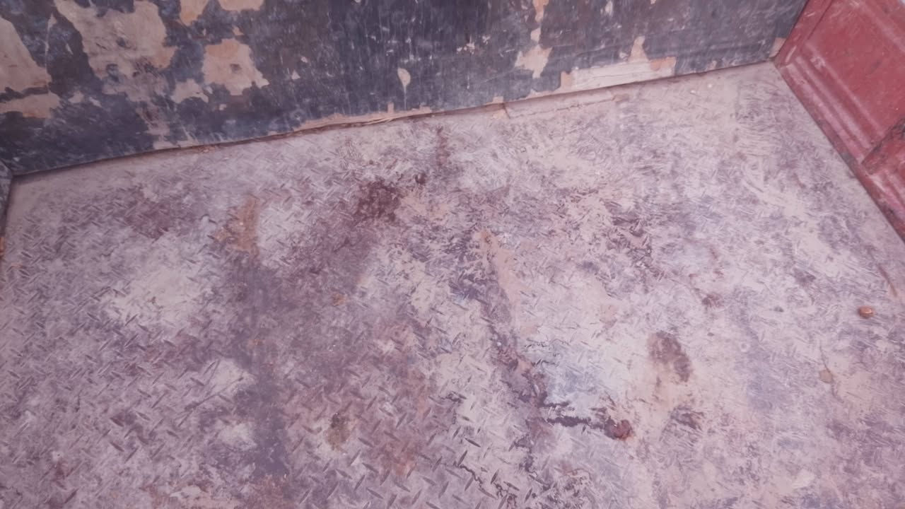 ستوته • موديل ١٤ • مكفوله