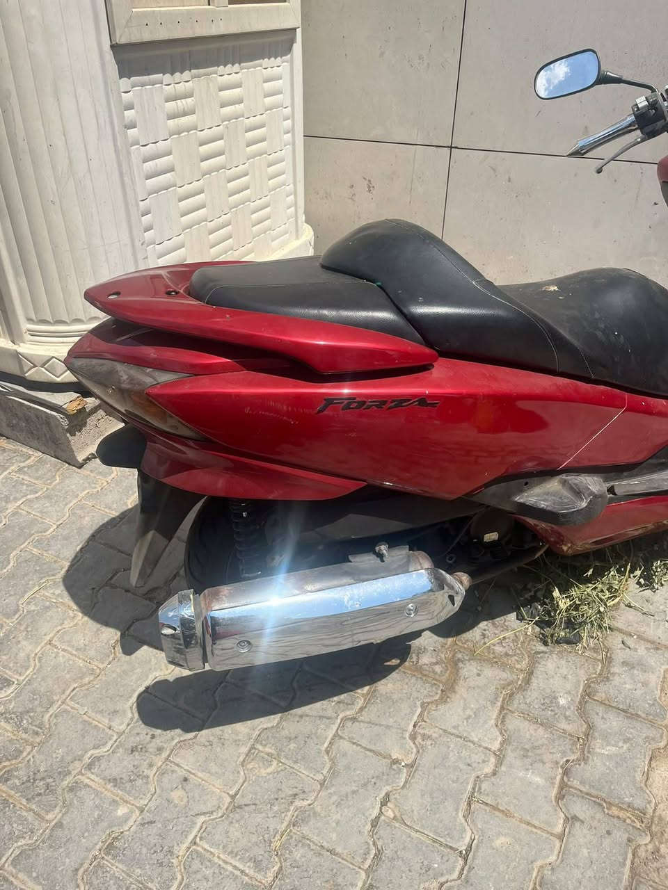 فورزه • فول مواصفات • مكفول