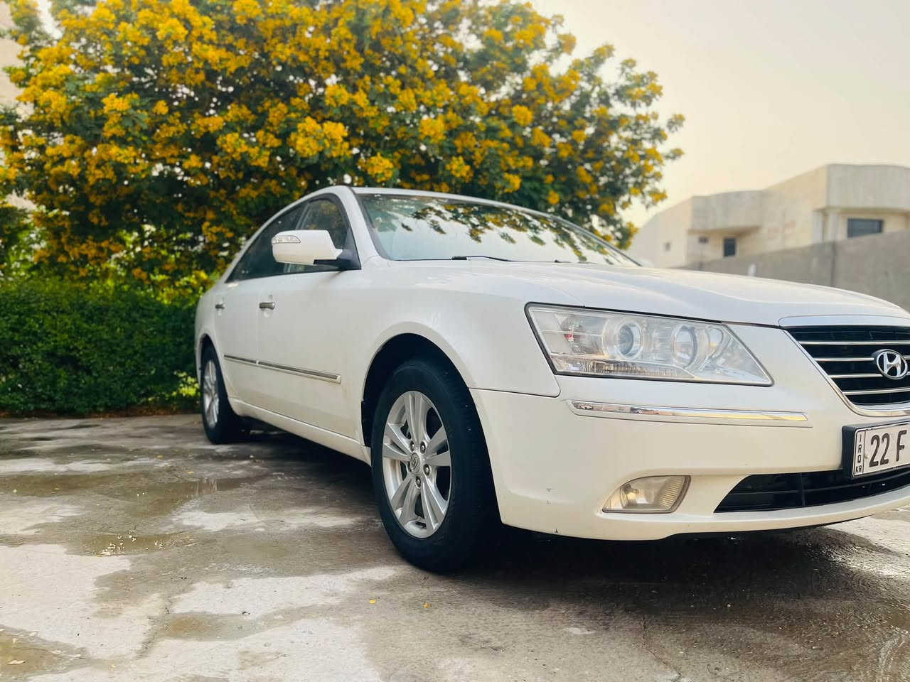 سوناتا • ٢٠١٠ • كفاله عامه