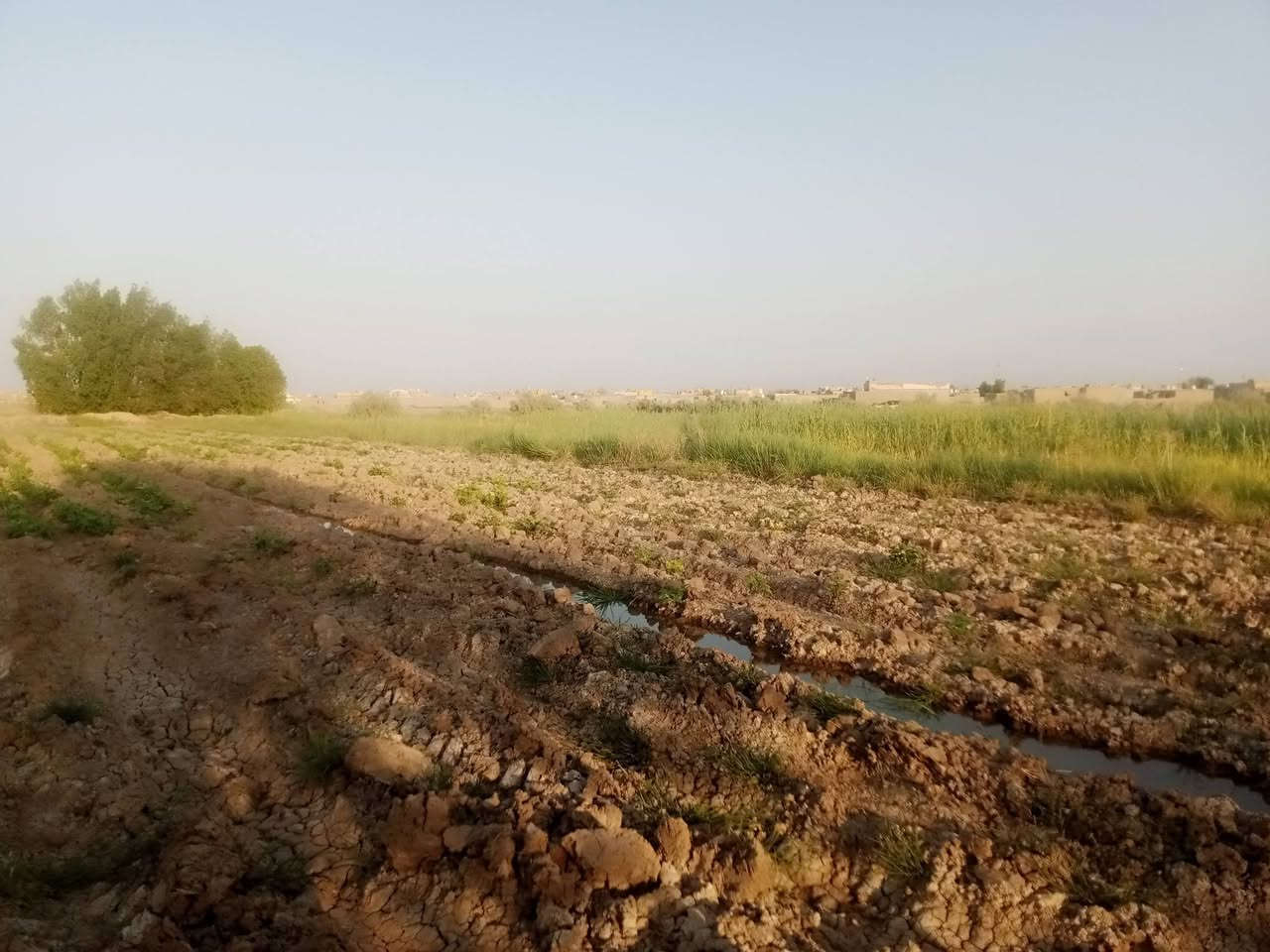 سلام عليكم ارض زراعيه للبيع المكان ال شفيج قريب عل شط 2دونم خدمات موجوده ماء كهرباء سعر خاص 
اتصال ***********
