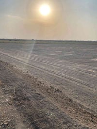 🌿 20 دونم مميزة للبيع . طابو سند 25 🌿       📍التاجي _ ذراع دجلة _ مقاب...
