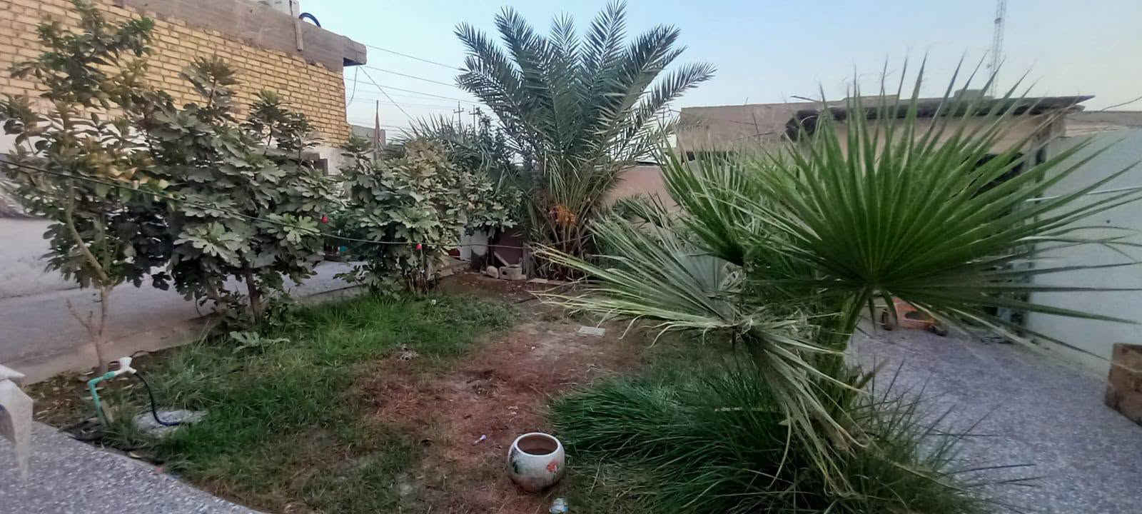 .ار 300 متر كوفه علوة الفحل شارع الرئيسي نهاية الشارع يحتوي على غرفتين وصاله ومطبخ وتخاريج وستقبال بسعر 65 مليوون /////***********
