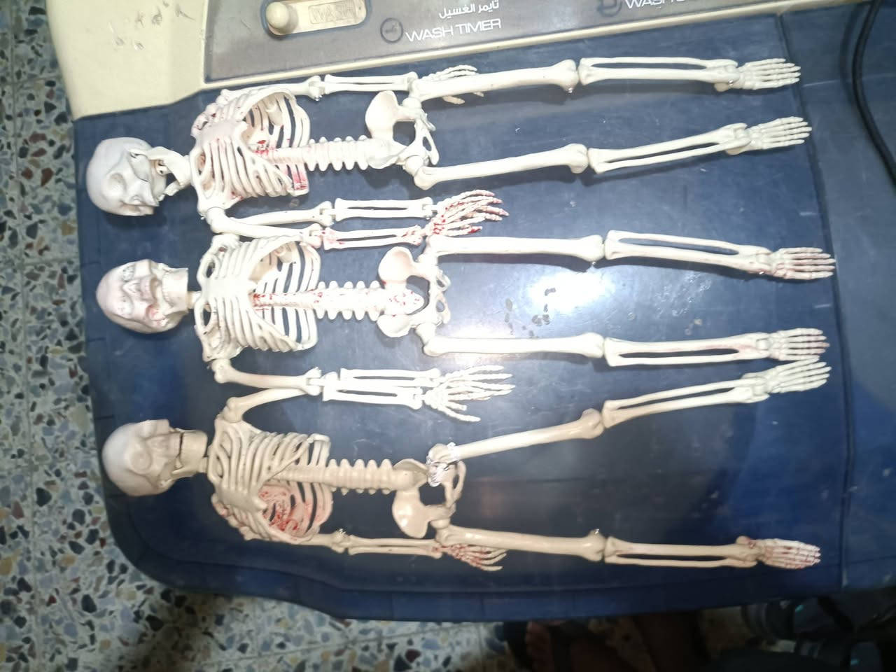 اچهيكل عضمي كولتي عالي الجودة حجم 30 سم تقريباً تفاصيل وأجزاء كلها تتحرك تكدر تتحكم بيه اذا للزينه او فيمه فدشي مرعبة كلفت النصر مميز كلش عدد 3 
واذا للدراسه والكلب فهنه أصلاً مال طب ودراسه وشرح ادق التفاصيل بالجسم  طبيات بالاصل حته ينباعن بالملتزمات الطبيعي اكثر شي وابيعةبنص قيمتهن بسعر مناسب كلش لن مستعجل عليهن اريد اروح للدوام وماكو فلوس وغايب السعر كلهم 3 قطع ب 40 ألف مكاني بغداد الحسينيه بالبداية الشراي يجي خاص او يتصل هذا رقمي واتساب ***********

