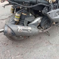 فحل • باور • تعبانه