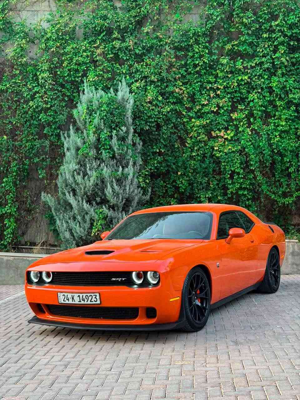 البرتقالي الأصلي 🇺🇸 | scat pack |

🔥 للبيع: دوج تشالنجر SRT 2021 — برتقالي أصلي 🔥

🚗 المواصفات:

* مواصفات فل أوبشن
* كاميرا خلفية + حساسات خلفية
* جنوط SRT قياس 20 إنش أمريكي
* سبويلر خلفي
* لايت أمامي زينون وكالة T/A أمريكي
* إشارات Smoke LED
* تشغيل عن بُعد
* كشنات تدفئة
* ستيرن Heated
* مقاعد جلد + كنتارا SRT كهربائية
* سقف rolls royce  
* شاشة كبيرة مع Apple CarPlay

🔧 التزويد الأمريكي:

* لويات تخم ماركة H&R
* بلكات NGK أمريكي Racing
* شوته Volant أمريكي أصلي
* Fuel Pump Racing
* ولف حرارة 82
* كاج أصلي
* أكزوز كامل Active
فجوج brembo

✅ حالة السيارة:

* صبغ 3 قطع فقط بدون ايرباك شرط
* تايرات جديدة
* السيارة تحويل وكالة بنفس اليوم
* رقم دهوك
* المكينه والگير لم يتم فتحهما 
* ممشى 75,000 كم
* المحرك والقير بشرط الفحص

🎨 الصبغ والحوادث:

* 3 قطع صبغ: جاملغ + باب + جامبغ خلفي
* بدون إيرباك
* بدون شاصي
* بدون لغود

💰 السعر: 188 ورقة، وقابل للتفاوض
السيارة مصروف عليها أكثر من سعرها، والتزويدات كلها مختارة بعناية

📍 موقع السيارة: السليمانية

📞 للاستفسار أو طلب المزيد من التفاصيل:
***********
*********** السليمانية, العراق
