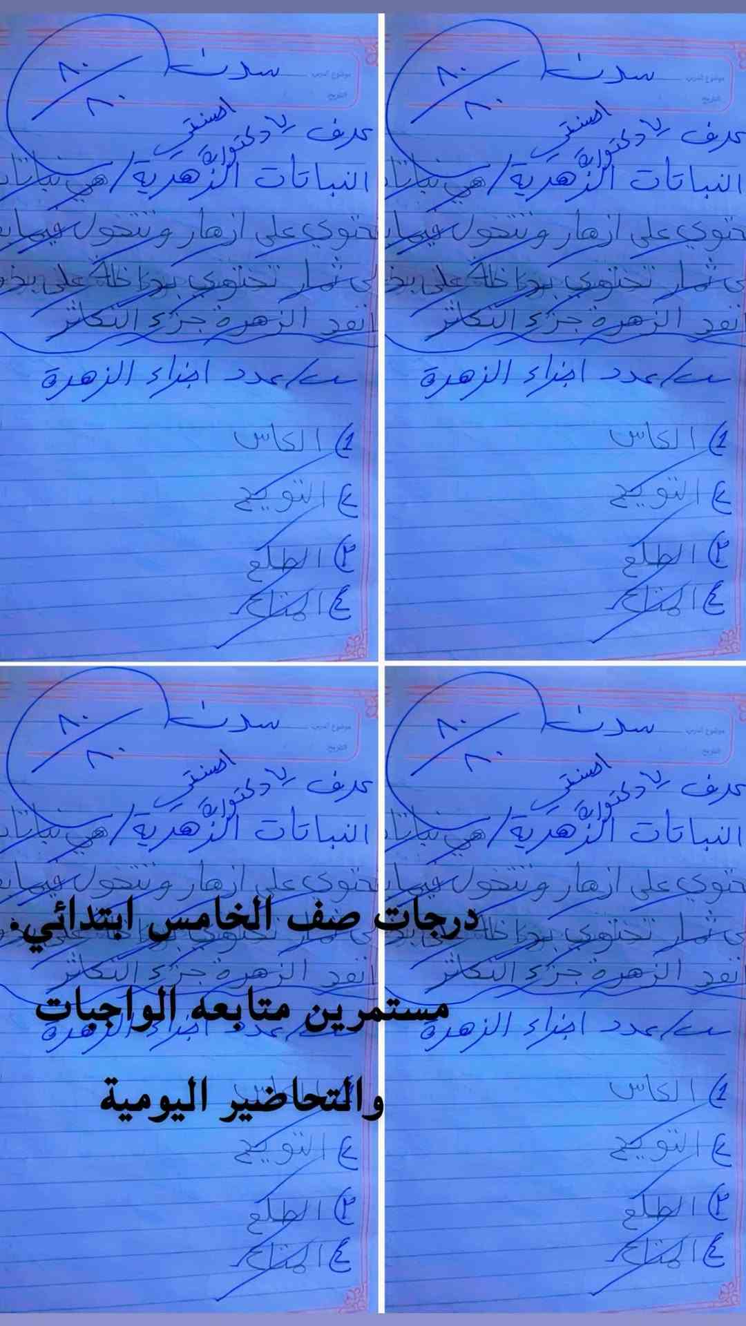 صف الخامس ابتدائي • متابعة الواجبات • تحاضير يومية
