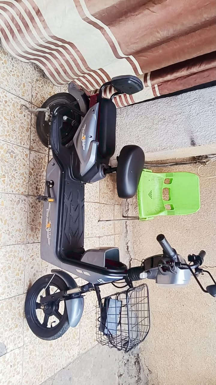 رقم فقط • بدون وصف • غير محدد