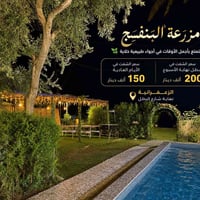 الزعفرانية • شارع البطل • حجز اليوم