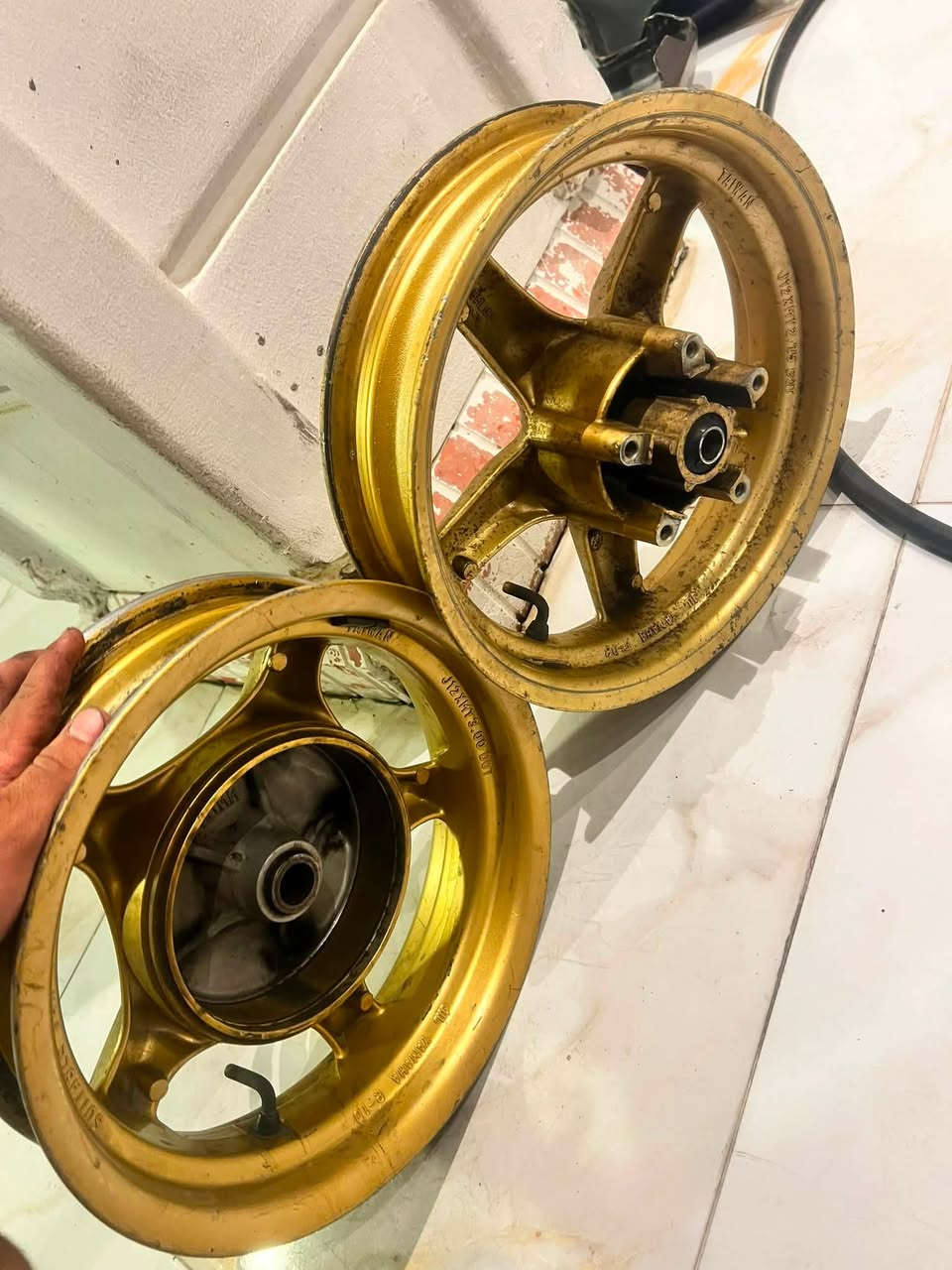 سلام عليكم وياله سكنس جبلي اصل مكفوله من لعواج ولفطر مكاني بغداد سعر٨٠وبيها مجال بسيط ***********
