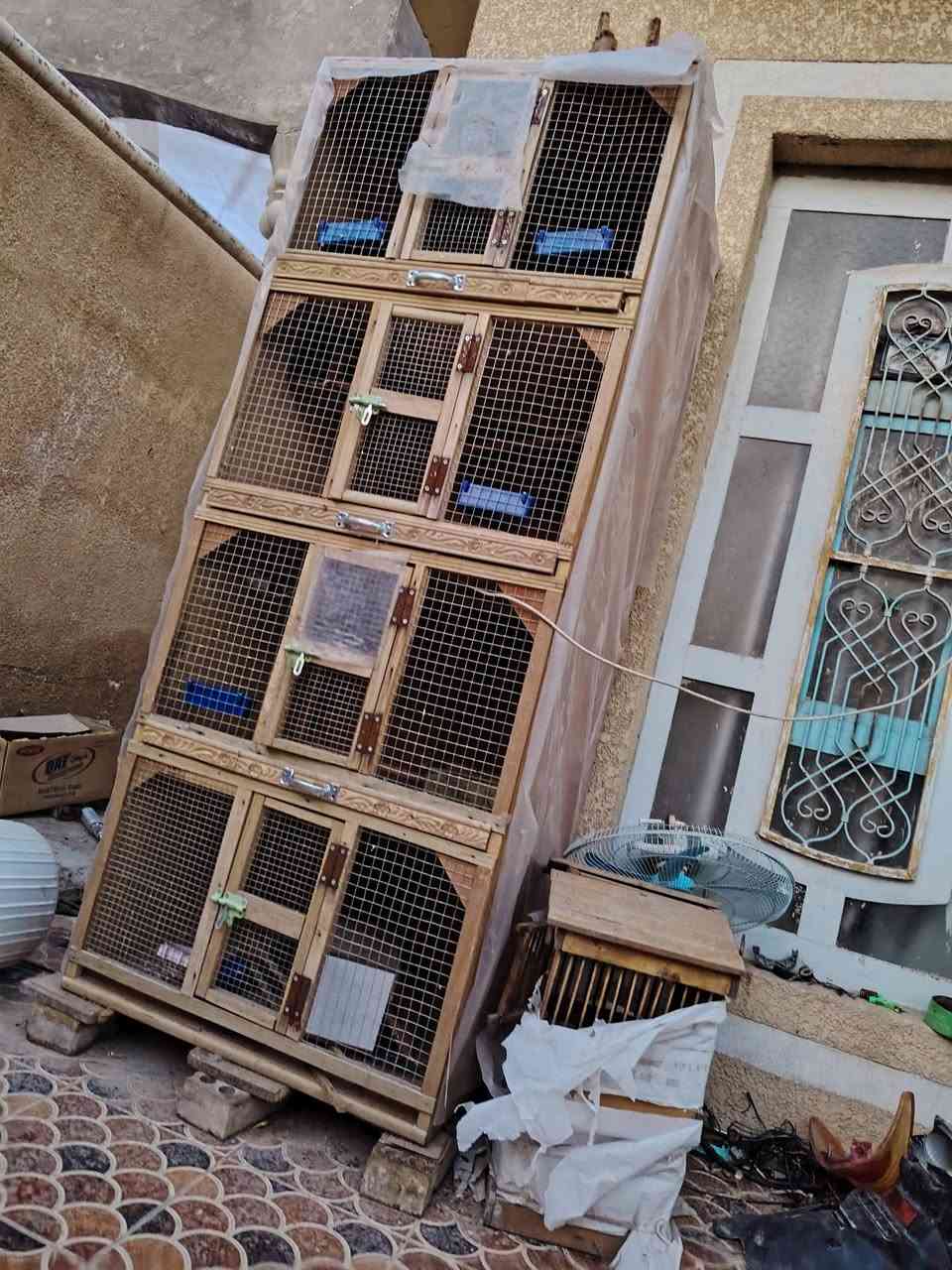 خانات أم الأربعة • شبه جديدة • بابل وردية