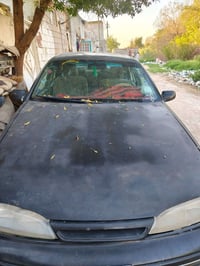 دايو برنس • ١٩٩٤ • رقم كربلاء