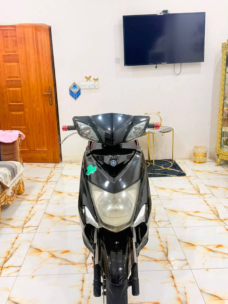 سكنس • ياباني • مكفوله