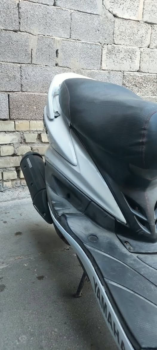 سكنس فحل • نوزل • ستاند كهربائي