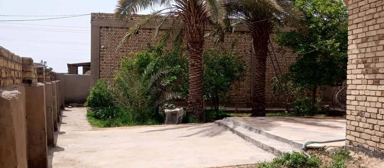 #دار_مع_مزرعه_للبيع 
فرصه مميزه 
تجاريه وسكنيه علا طريق الزوار مباشرتا 
المساحه الكليه :1100
مساحة الدار: 250م
الموقع :طريق السنيه جهة الزوار  علا الشارع مباشرتا 
مواصفات الدار 👇
🛑اساس كونكريت 
🛑بناء طابوق 
🛑 سقف كونكريت مسلح 
🛑غرف عدد 2
🛑صاله 
🛑استقبال واسع جدا 
🛑  صحيات خارجيه وداخليه 
🛑مطبخ 
موصفات المزرعه🏝️ 
 🛑تحتوي علا اشجار حمضيات فرصه استثماريه لاتعوض
🛑ارض خضراء جدا كبيره 
🛑اشجار نخيل من النوعيه الجيده 👍
#قطعة_ارض_مميزه
🛑نوع العقار: طابو زراعي 

وسعره جدا مناسب  ✔️
ــــــــــــــــــــــــــــ
#متابعة__الصفحه_ليصلكم_كل_ماهو_جديد🛑
#نستقبل_جميع_عروضكم
--------------------
للتواصل الاتصال على الرقم 
***********
اوزيارة مكتبنا
مكتب حيدر الطيار للعقار والمقاولات العامة  
الجزائر -شارع المطاعم -مقابل مدرسة حمورابي
--------------------------
