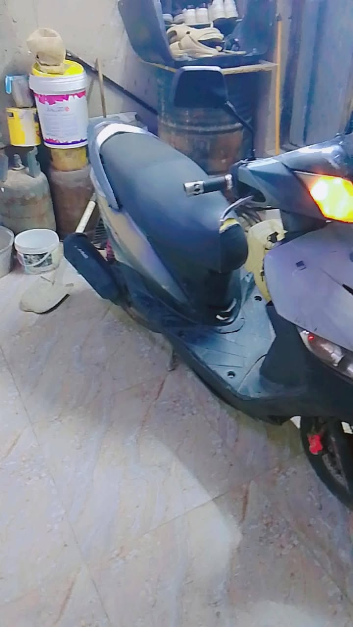 سكنس ثعلب • جديده • كفرات