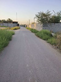 البعيثة الدوره • أرض ١٥٤٤م • حل شارعين