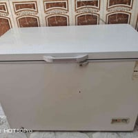 مجمدة • نضيفه • للبيع