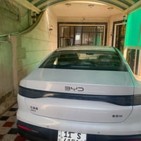 سيل فايف • ٢٠٢٥ • كفالة عام