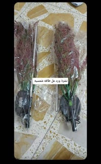 ورد للبيع عندي توصيل بغداد ٥ الف محافظات ٥ الف  نص مكتوب في الصور: - ن...