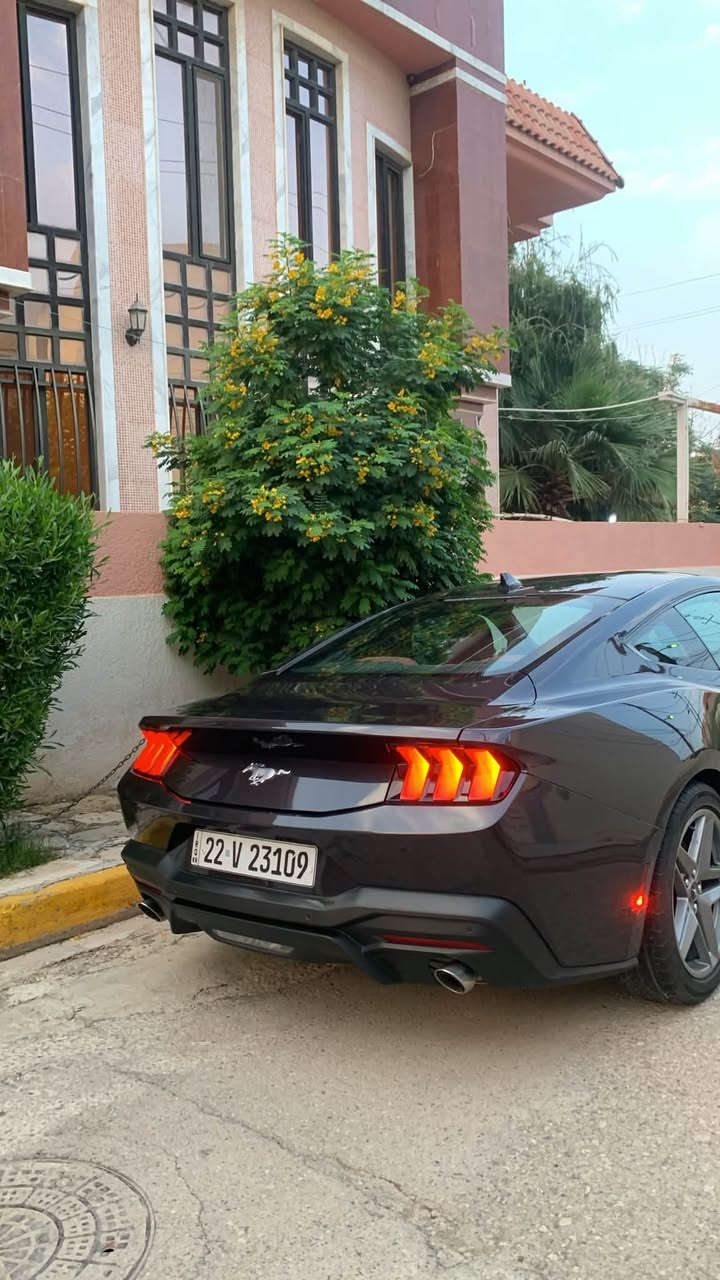موستنك ايكوبوست • ٢٠٢٤ • الموصل