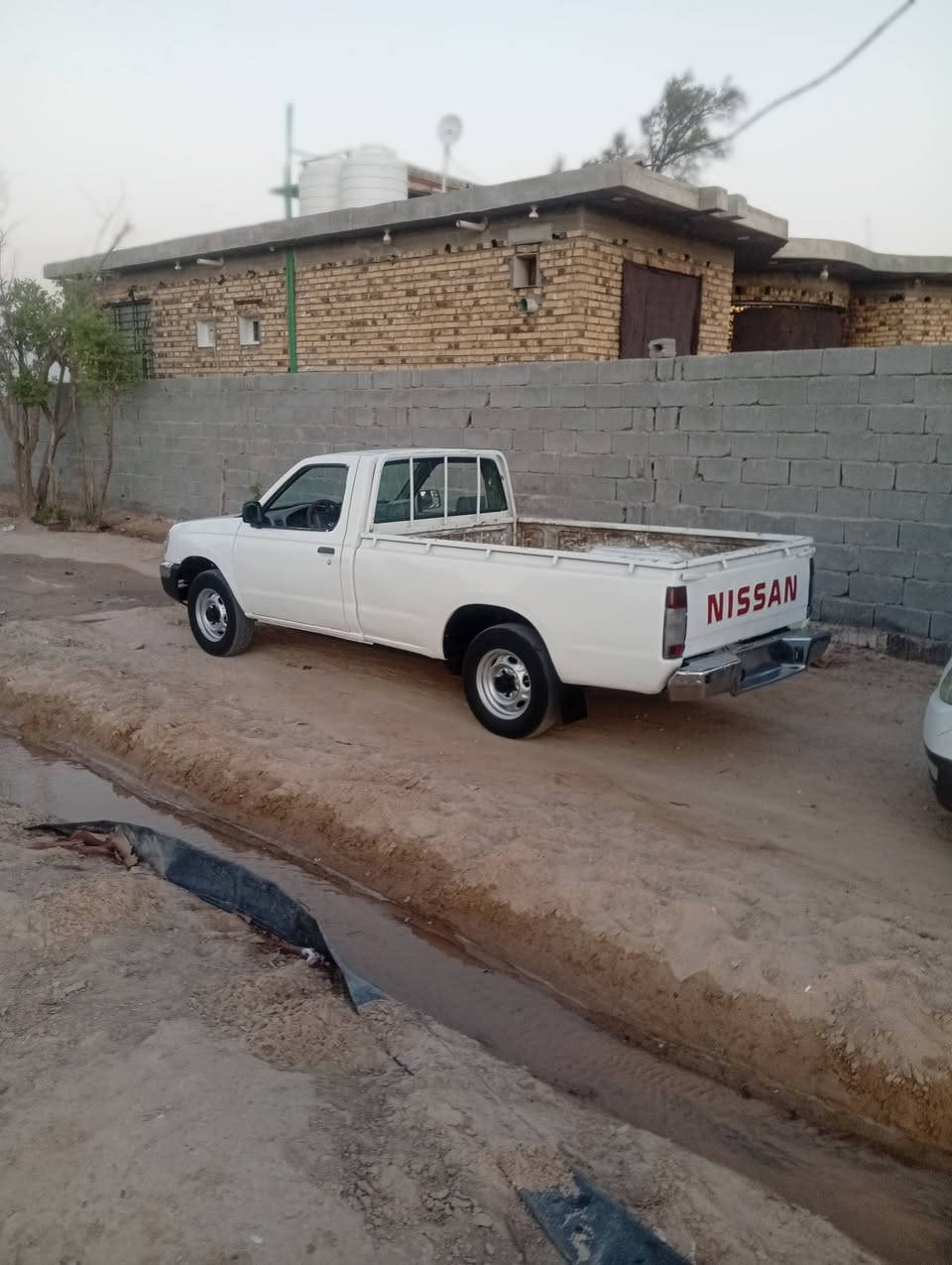 شبوط • لا ضربه • رقم بابل