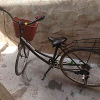 باسكل • عبد الحليم • ٢٦