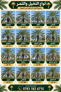 نخل للبيع • انواع التمر • جريجب