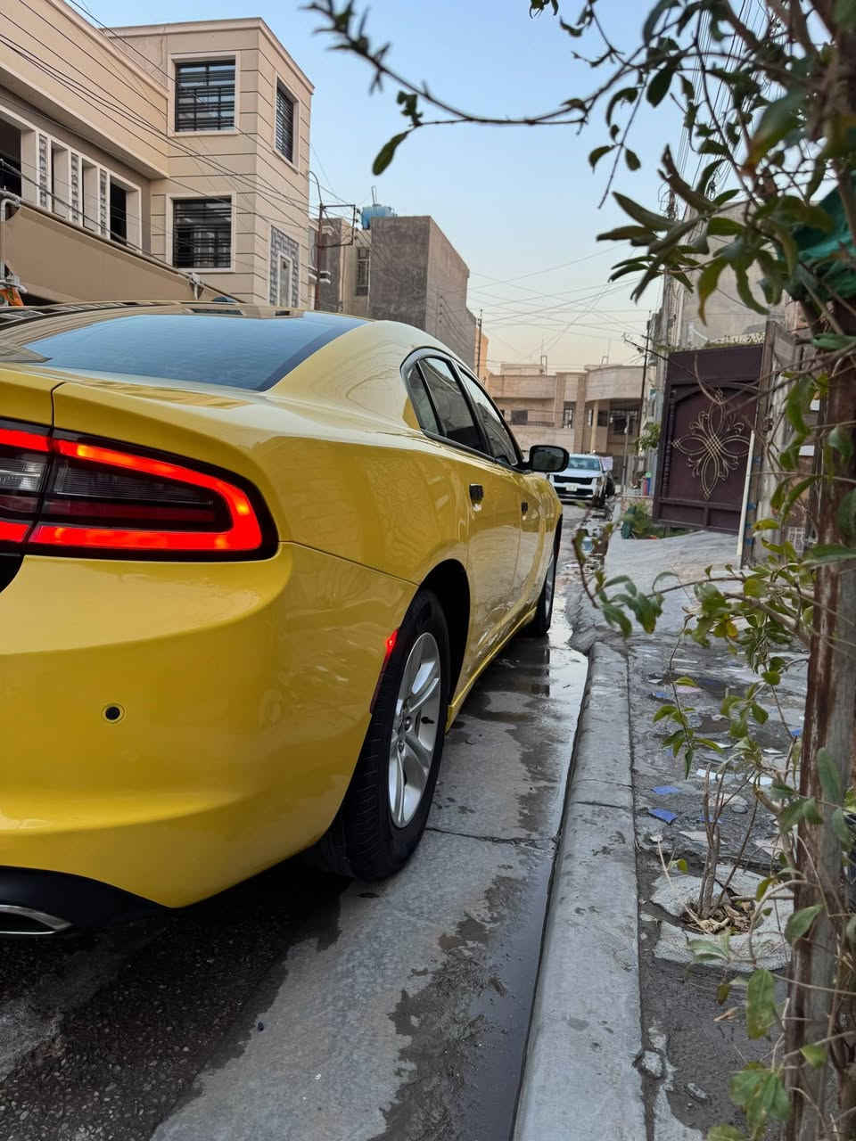 سلام عليكم جارجر موديل 2019
كفاله عامة للاستفسار ***********

