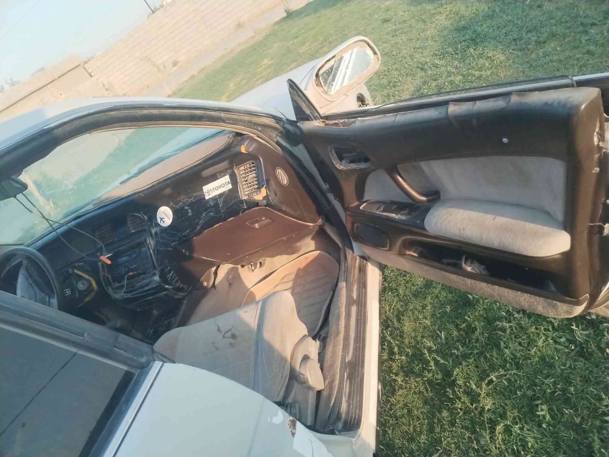 بطه • تفليش • مكلف