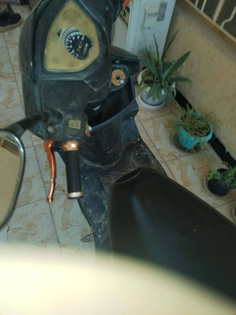 سكنس • امتياز • ٢٠٢٣
