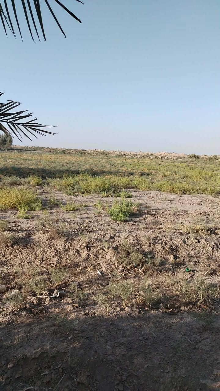 سلام عليكم دار للبيع  مساحته  3دونم 
يوجد فيا ماء اساله وكهرباء ومدرسه قريبه ++بتلو بيت كامل وتقع على الشارع  العنوان واسط قضاء الشحيميه  قريه السلام رقم ***********
