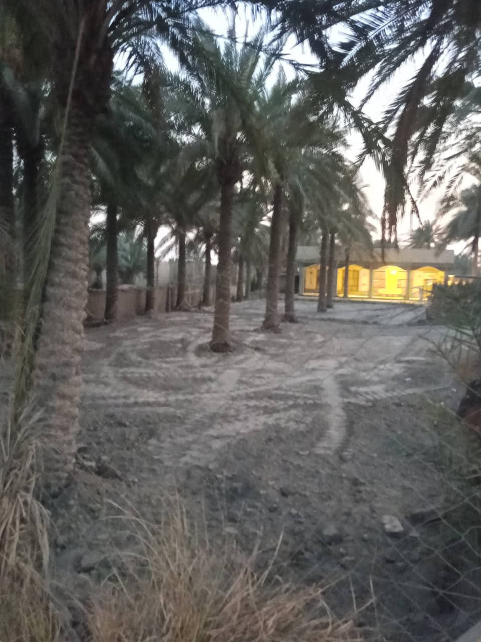 🔥 فرصة تجارية مميزة للبيع – موقع استثماري قوي جداً 🔥
📍 طريق حلة – نجف | خلف جامعة بابل | حي سجاد مباشر
🏢 أرض تجارية سنتر على شارع
📐 المساحة: 400 م²
📜 الجنس: طابو زراعي – سند 25
⚡ كهرباء + خط مولدة
💧 ماء إسالة
🛣️ شارع مبلط
🎓 تبعد فقط 500 متر عن جامعة بابل
💰 للاستفسار ومعرفة السعر:
📞 ***********
🚨 موقع استثماري ممتاز… فرصة لا تتكرر!
