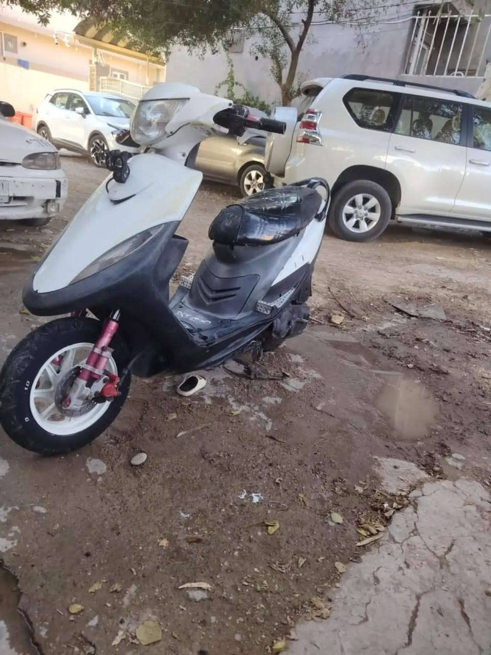 سلام عليكم ماكس عدلة للبيع او مراوس دراجة خير من اللة مناقصهة شي بس كهربائيات سلف هندر كلة شغال دراجة كاملة شلعة معدل مكاني ديالى بعقوبة السعر 500وبيهة مجال حك الجية للستفسار واتساب *********** او خاص
