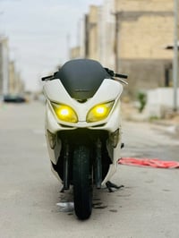 فورزة • ٢٠٠٨ • مكفولة