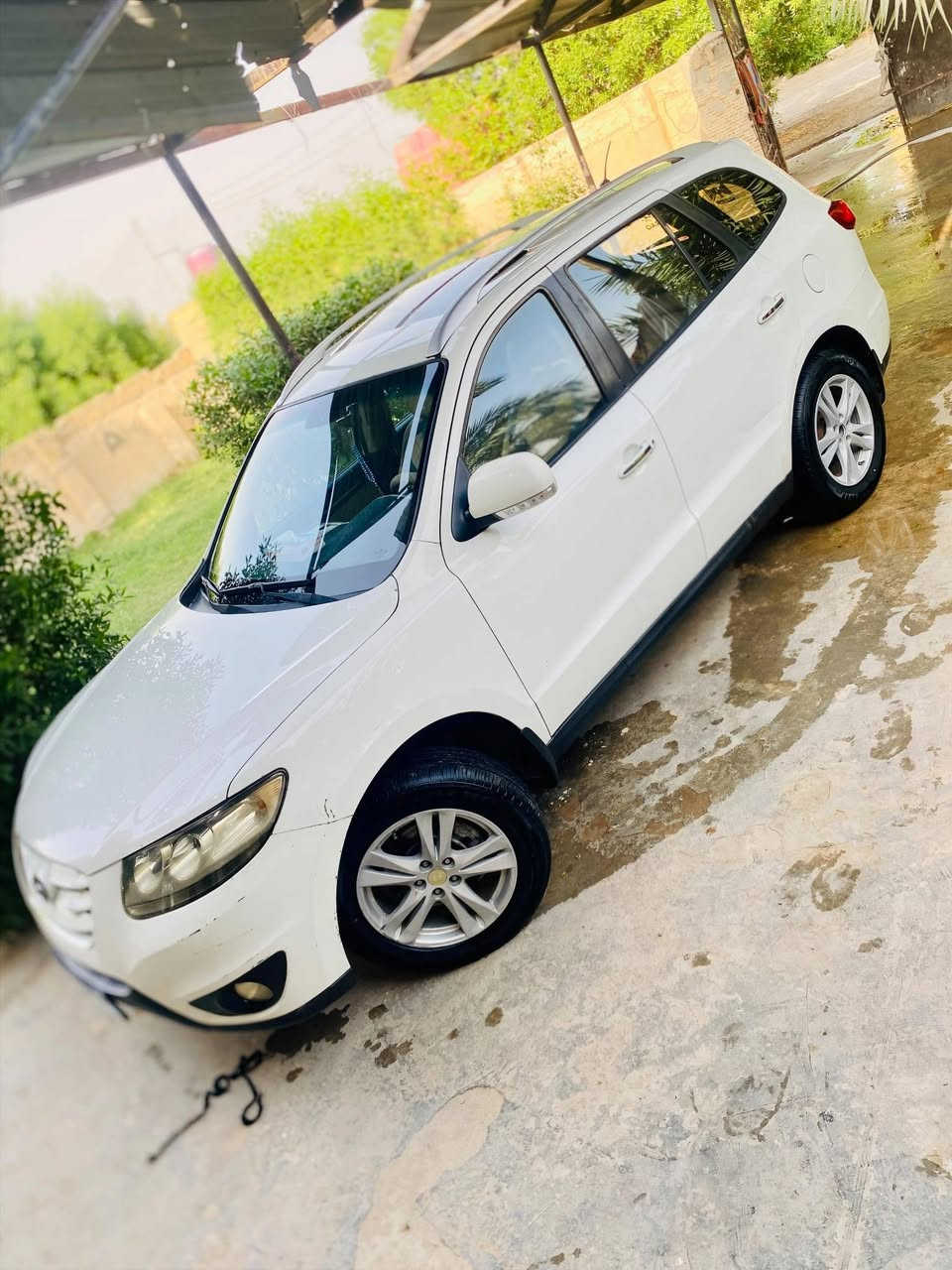 سنتافيا • ٢٠١١ • رقم بغداد