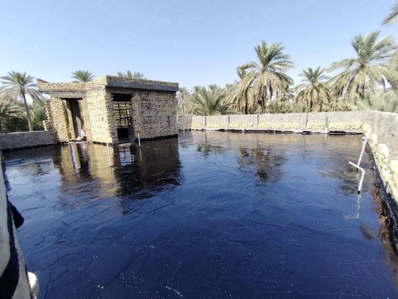 تزفيت اسطح • درجة أولى • أسعار مناسبة