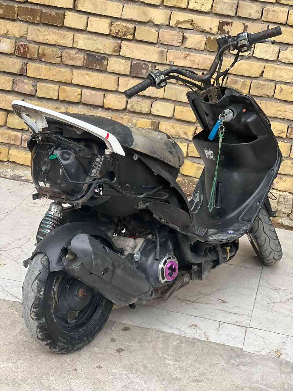 عدلة • ٤٩ • بلادية