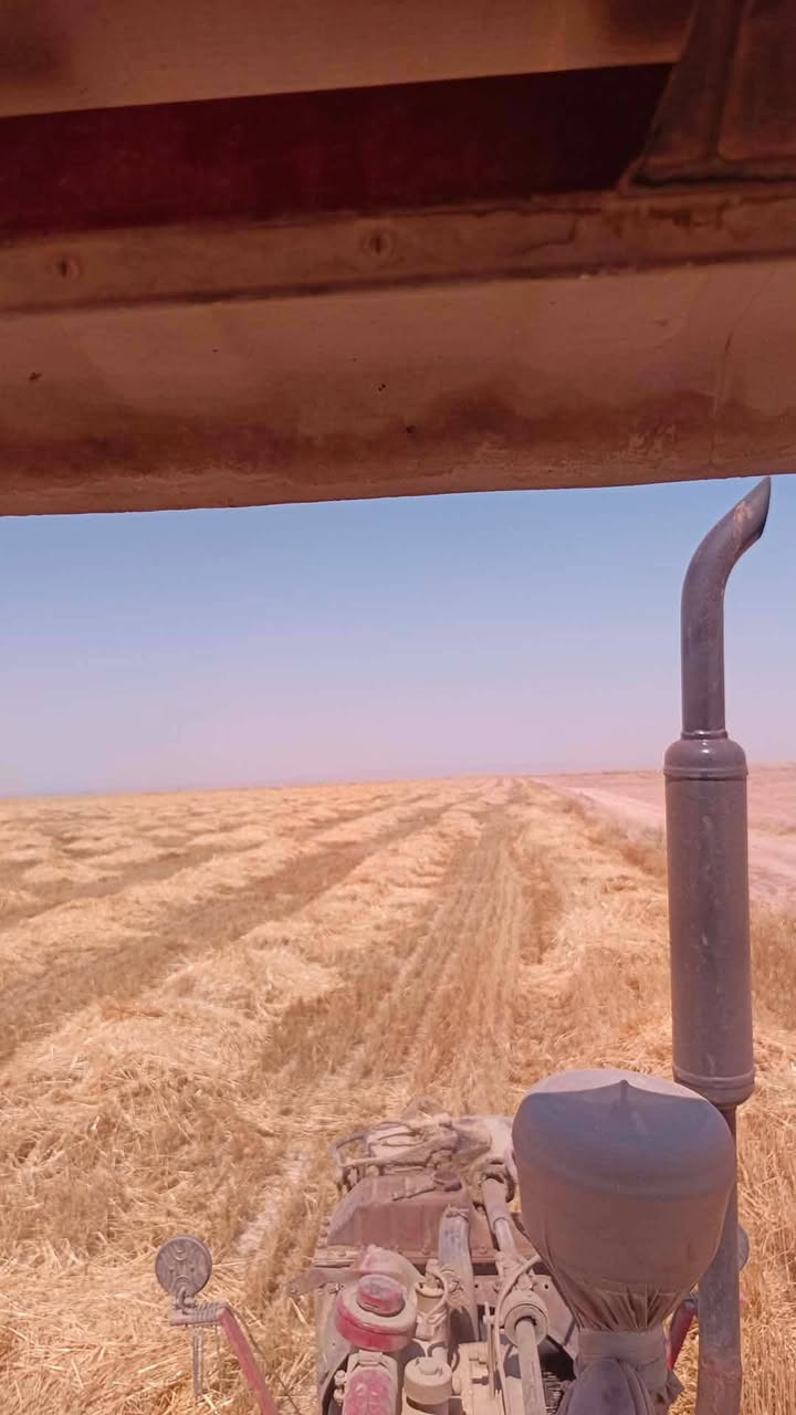 السلام عليكم
يتوفر تبن مال بريه نضيف کوام دراسه  عربانه سكندريه ترس فول واصل للبيت 
 الزاب داخل الناحيه- الصباغيه -شميط -نميصه- زراريه- شريعه -رنجي 
السعر 55 ألف واصل واصل واصل 
العدد مفتوح 
للاستفسار ***********

