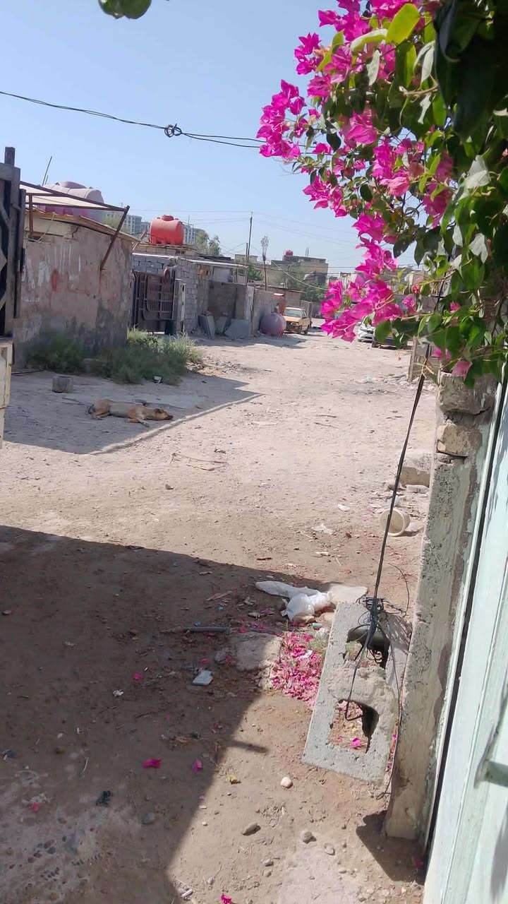 بيت تجاوز 200 متر بسعر مناسب 

 غرفتين نوم واستقبال ومطبخ وصحيات وحديقه مرتبه المكان بغداد الحريه مجمع الرجاء السكني قريب ع الزراعي السعر 9 وبي مجال بسيط الرقم واتساب ***********
