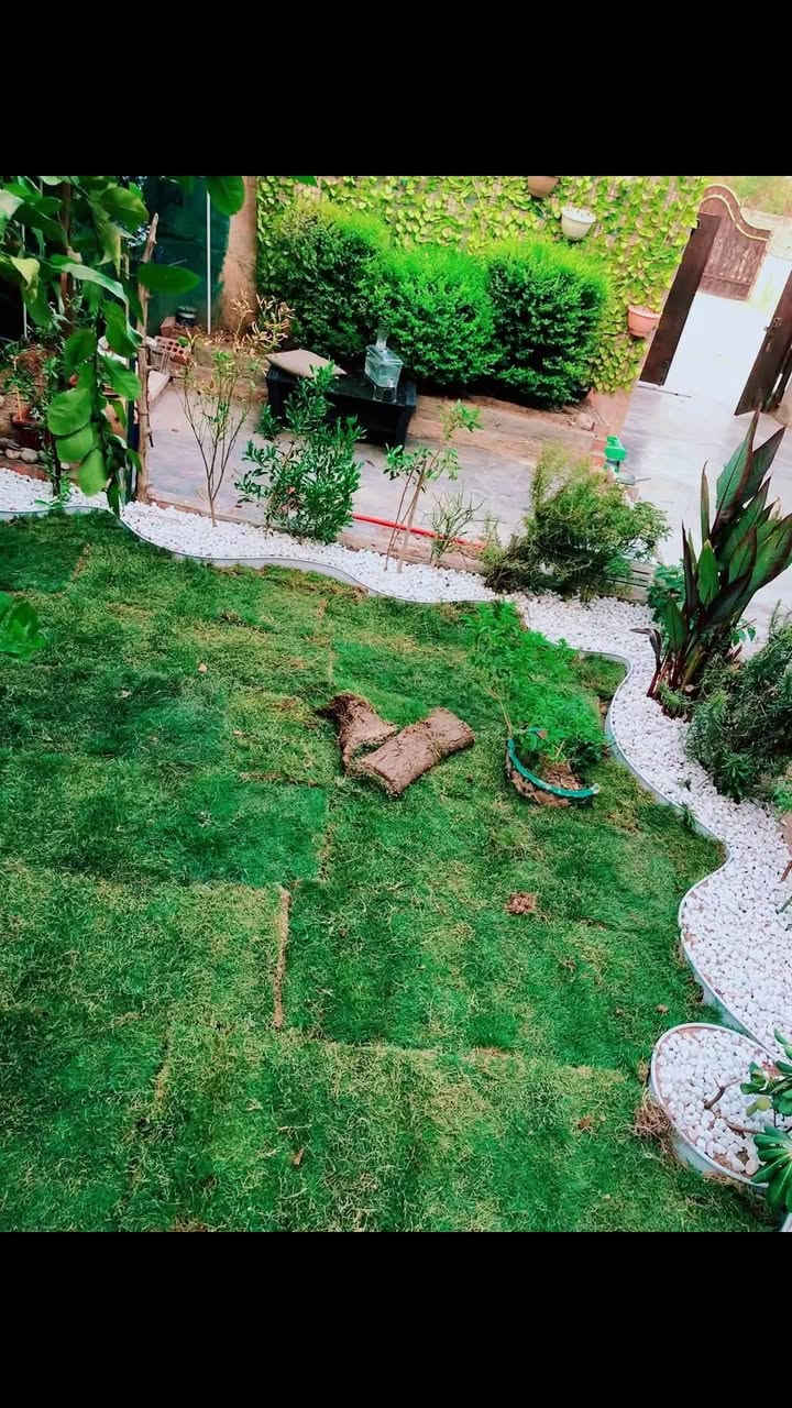 ديكورات حدائق

فرش ثيل قص ثيل 
إضافه زميج درجه أوله
زرع الأشجار تقليم الأشجار النينا 
نصب سياج حديقه بنر 
زرع الأوردوجميع نباتات ضليات خارجي 
يريد يتواصل عل رقم ***********
