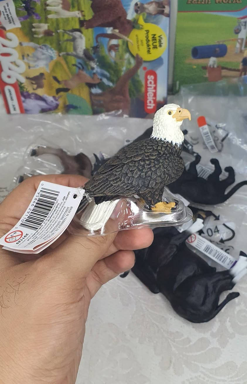 أول شحنة • حجز مسبق • جمال القطع