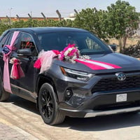 راف فور هايبرد • موديل 2025 • وارد اسرائيلي