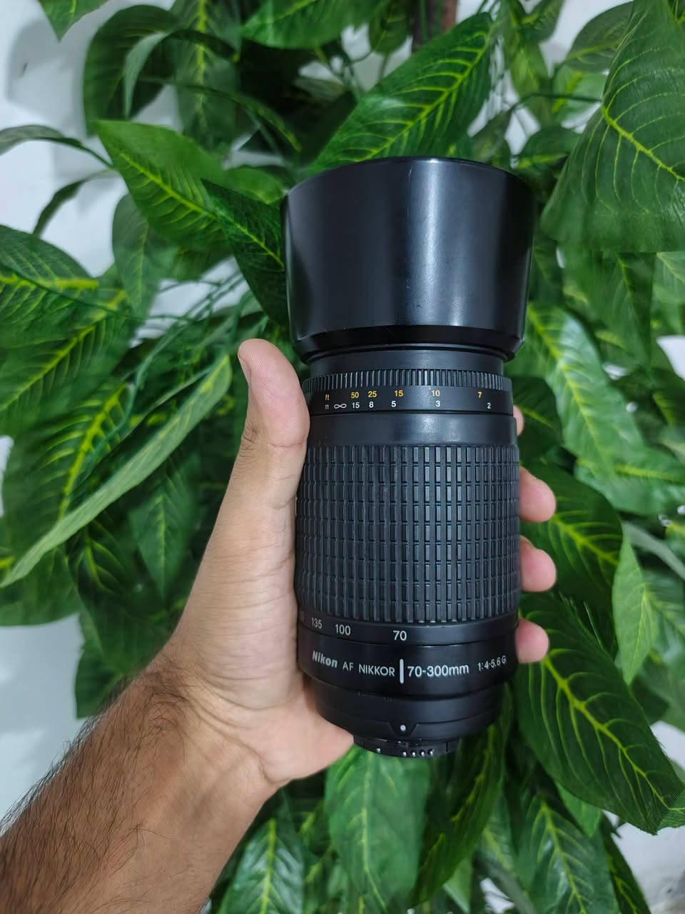 نيكون D7000 • زووم 70-300 • ساحة عدن