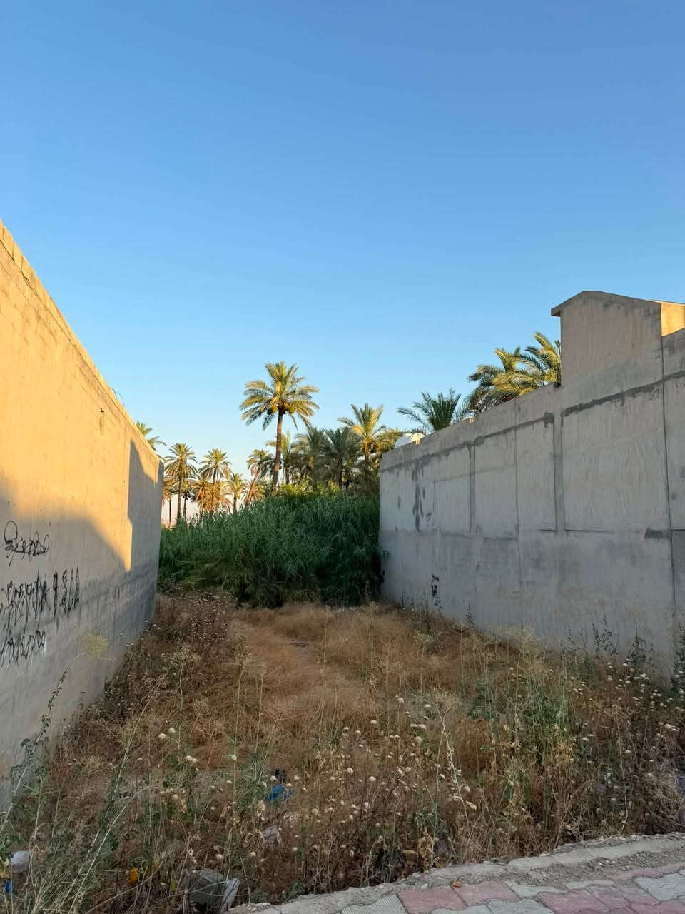 للبيع - قطعة أرض تجارية 
📍خانقين - على الشارع العام، قرب الجسر
الجديد، مقابل جامع آغا وخليفة.
• المساحة: 290 م* 
💸السعر: عند الاستفسار.
للاستفسار: ***********
خانقين عقارات | كل العروض بمكان واحد
