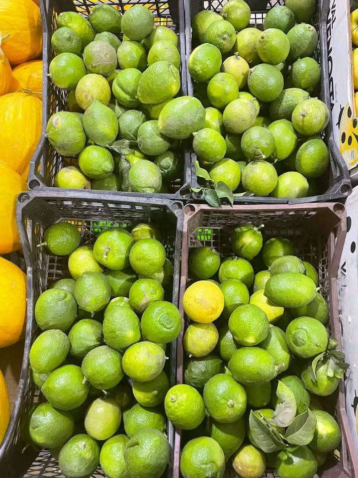 🌿✨ بسم الله ما شاء الله، تبارك الرحمن ✨🌿
🍎 #السبت_19_أيلول
❤️ أهلنا وزبائننا الغالين... الطازج اللي تختاره لعائلتك، نختاره لك بعناية من علوة فاكهة الأندلس الإلكترونية 🍓🥬
🍇 فواكه وخضراوات طازة وفريش يومياً 🥑 تشكيلة واسعة من الأصناف اللي تطلبوها 🍎 اختيار بعناية وجودة نحرص عليها 🥗 وتجهيز حسب طلبكم واحتياجكم
مو مجرد خضار وفواكه... نحن نهتم بالاختيار حتى توصلكم منتجات تستحق ثقتكم ❤️
🚚 اطلبوا من مكانكم... وإحنا نجهز طلبكم ونوصله لباب البيت.
📲 للطلب والاستفسار ومعرفة الأسعار عبر الواتساب: ***********

https://wa.me/c/9647740945035
✨ علوة فاكهة الاندلس الإلكترونية الطازج دائماً له عنوان 🌿

نص مكتوب في الصور:
- بسم الله ما شاء الله تبارك الرحمن السبت 19 ايلول #السبت_19_ايلول علوة فاكهة الأندلس الإلكترونية الجودة التي تستحقها عائلتكم... تبدأ من علوة فاكهة الاندلس لتجهيز الخضراوات والفواكه نختار لكم أجمل وأطازج أنواع الخضراوات والفواكه بعناية، لأننا نؤمن أن الطعم الحقيقي يبدأ من جودة المنتج طزاجة يومية أجود الأصناف اختيار بعناية مذاق يستحق التجربة جودة تليق بثقتكم لا نبيعكم مجرد خضار وفواكه... نقدم لكم اختياراً يليق بذوقكم وثقتكم بنا للطلب والاستفسار ولمعرفة الأسعار علي الواتس اب https://wa.me/c/9647740945035 ...لأن الطازج دائماً له عنوان..