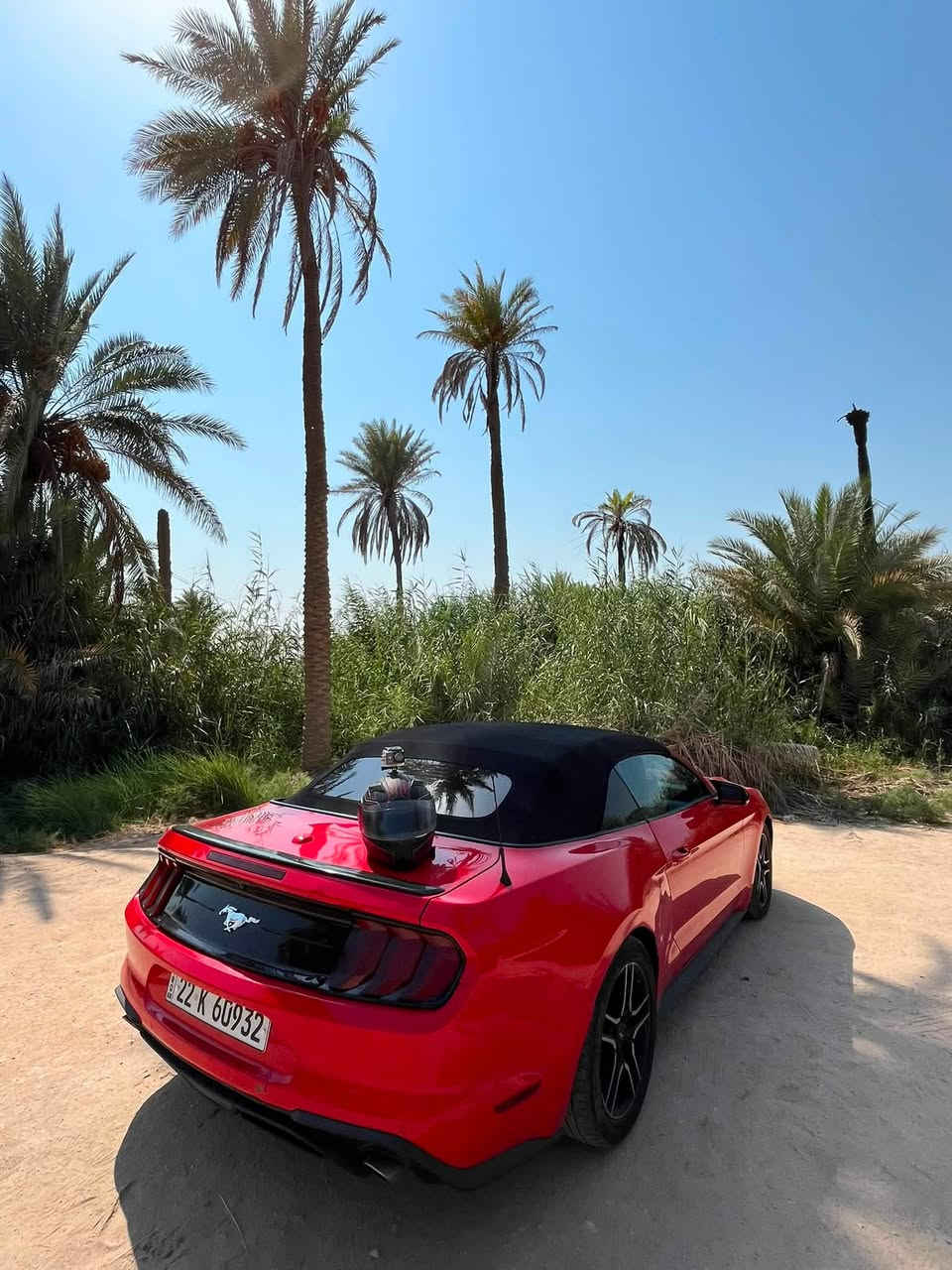 فورد موستنك ايكو بوست 2019 بريميوم فول 1/1
كير مكينة اكسل شاصي لغد كفالة بجم كبس 
حادث باب وجاملغ خلفي ايمن باب مبدل اصلي وجاملغ مصلح بدون كص ايرباك الكراسي فقط بنيد دبل كود بدون حادث امامي مكاني بغداد *********** السعر 145
