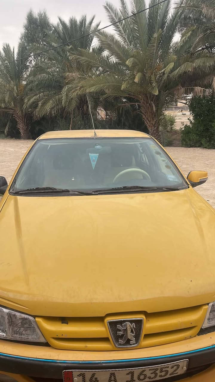 بيجو بارس • ٢٠١٣ • السمار السرير