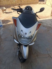 ماجسته • ياباني • ستوته