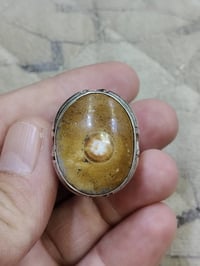 داودي 50 الف بغداد 07707135616